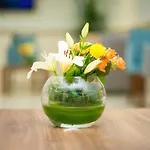 Anast Hotel
